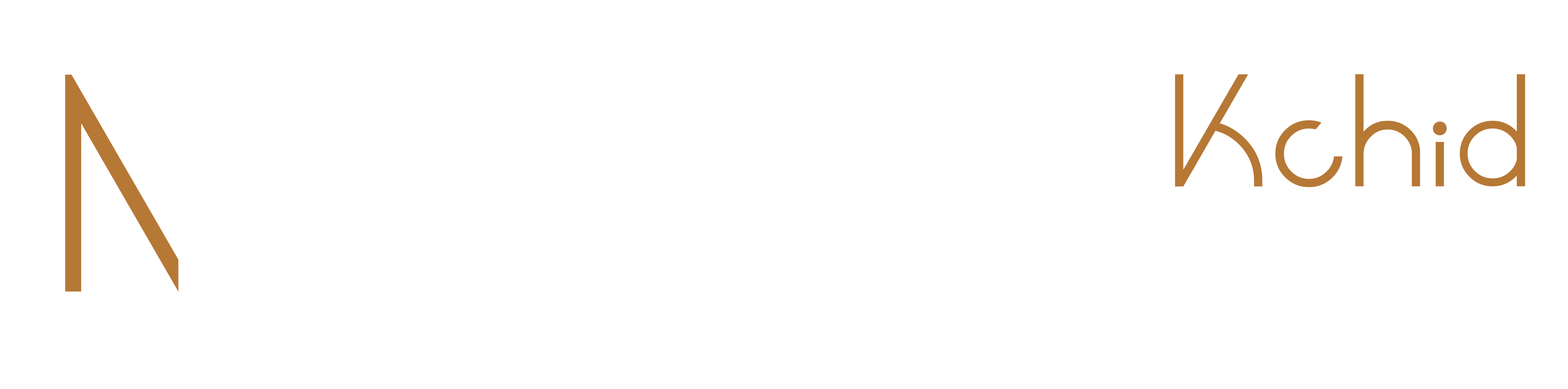 logo (5)